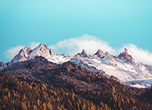 键盘侠|湖人终于防守了&amp;直接让穆雷隐身！LBJ篮下各种被砍却不吹